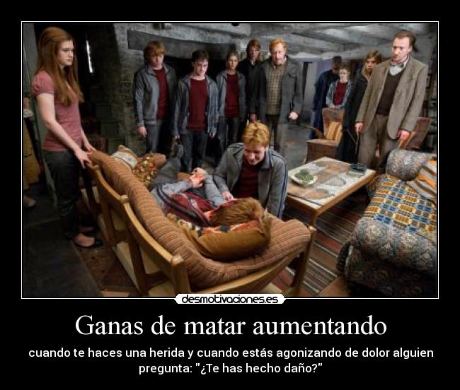 carteles ganas matar aumentando herida agonizar dolor preguntar dano idiotas everywhere harry potter desmotivaciones
