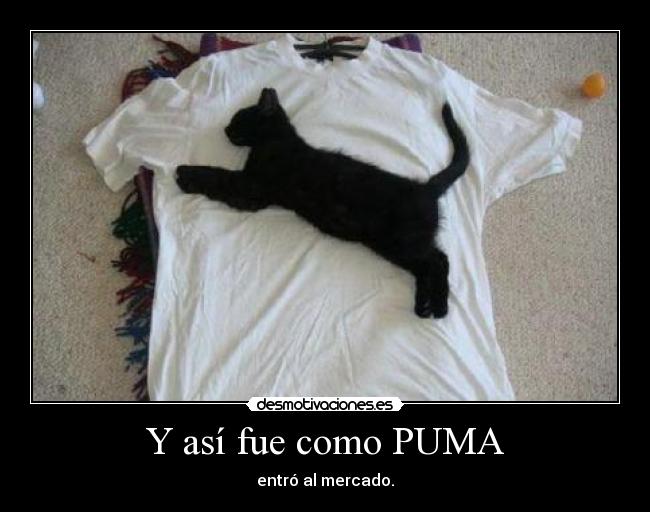 Y así fue como PUMA - 