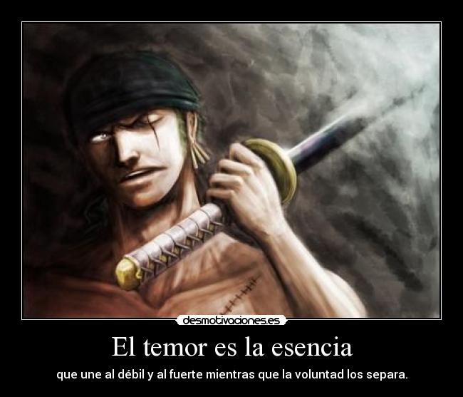 carteles one piece zoro desmotivaciones