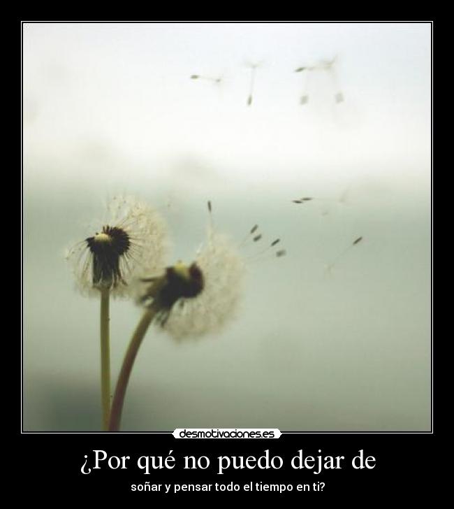 ¿Por qué no puedo dejar de - 