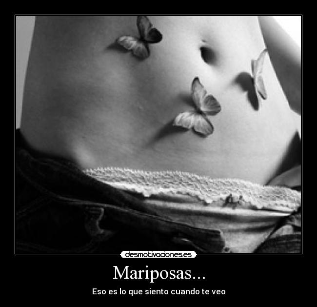 Mariposas... - 