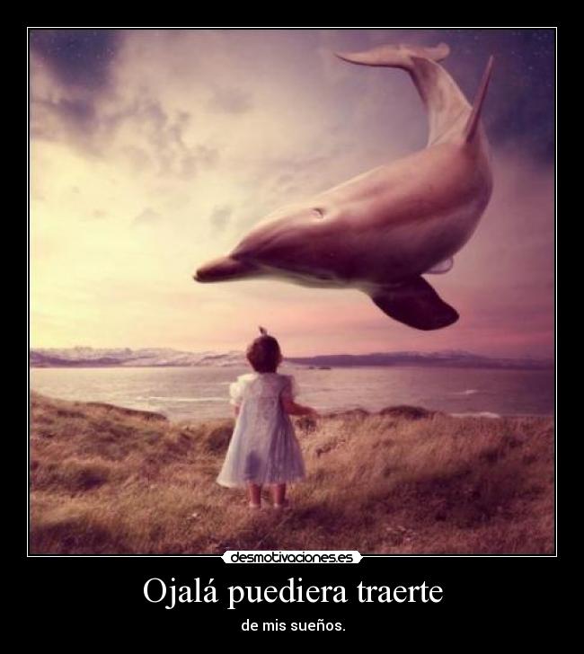 Ojalá puediera traerte - de mis sueños.