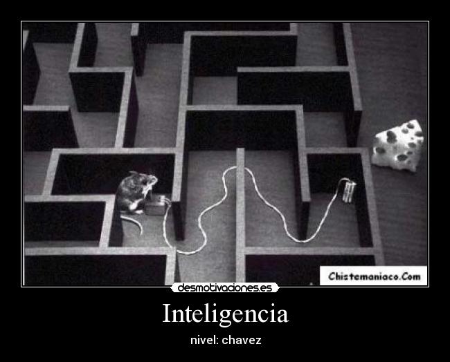 Inteligencia - nivel: chavez