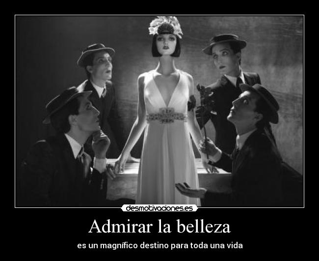 Admirar la belleza - 