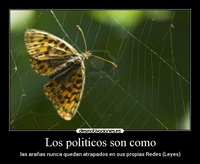 Los politicos son como - 
