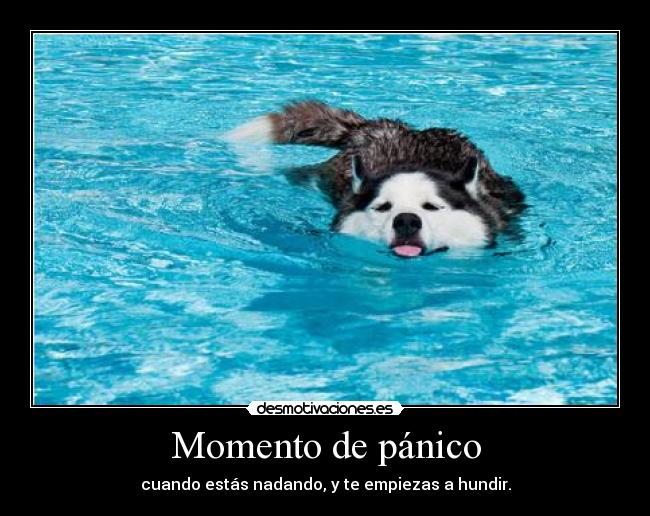 carteles little monsters jakeyfinn familia lemur rekiem nadando x33 resubido desmotivaciones