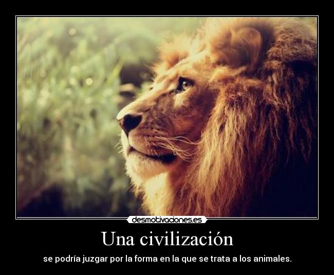 Una civilización - 