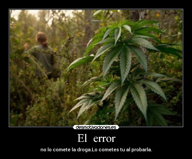 carteles tharatopus desmotivaciones