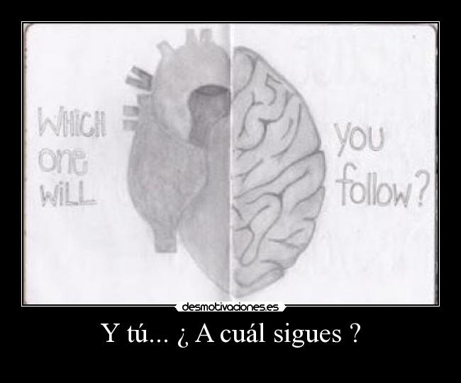 carteles amor cerebro desmotivaciones