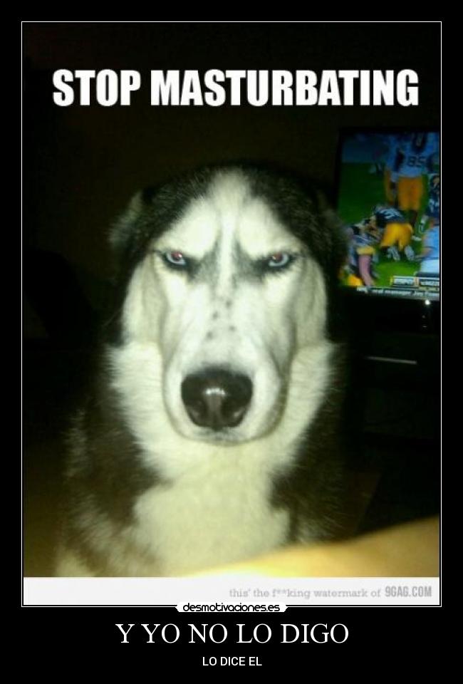 Y YO NO LO DIGO - LO DICE EL