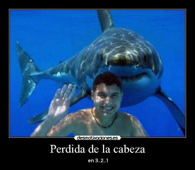 Perdida de la cabeza -