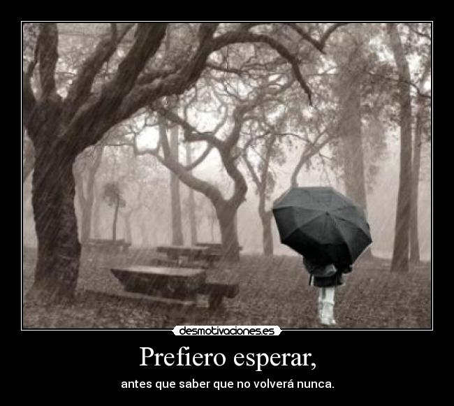 carteles estoy volviendo cursi jum cartel con significado distinto segun contexto del lector desmotivaciones