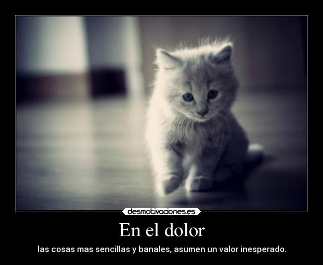 En el dolor - las cosas mas sencillas y banales, asumen un valor inesperado.