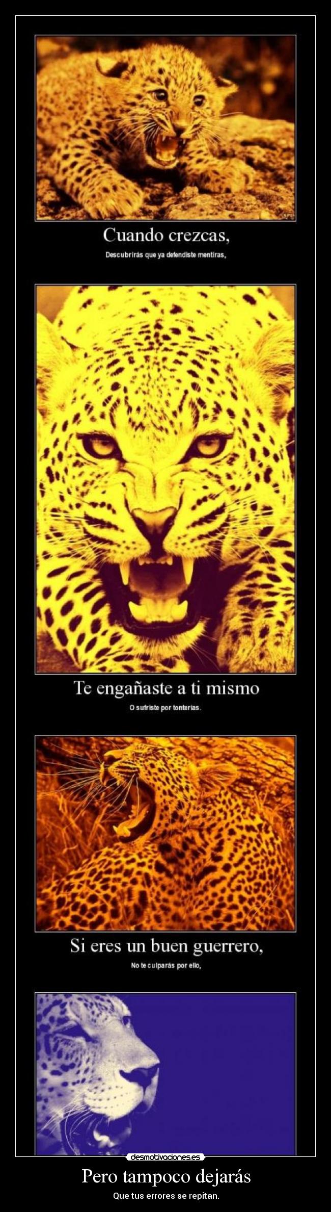 Pero tampoco dejarás - 