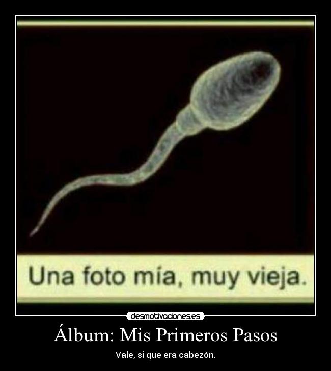 Álbum: Mis Primeros Pasos -