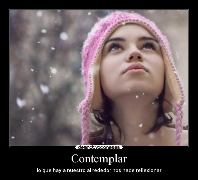 Contemplar - 