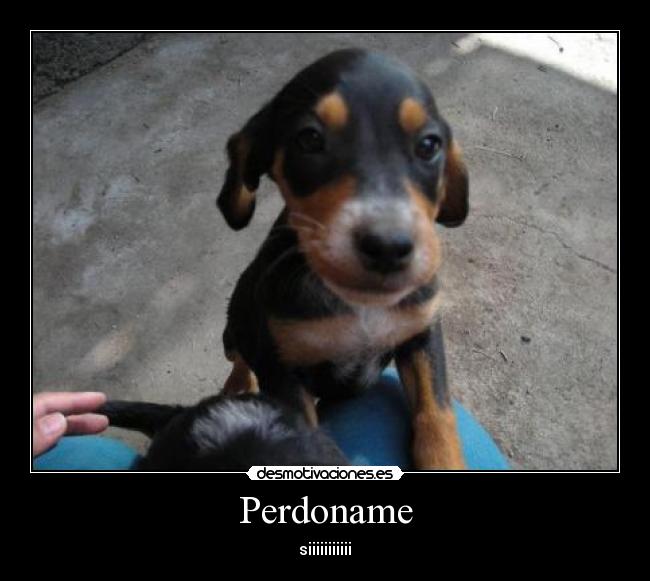 Perdoname - siiiiiiiiiii♥