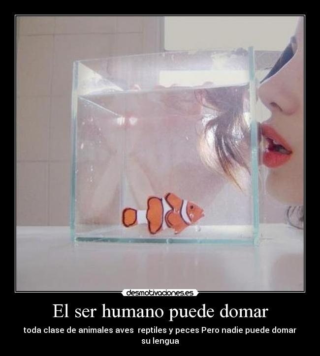 El ser humano puede domar -