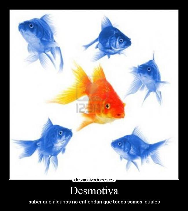 carteles discriminacion desmotivaciones