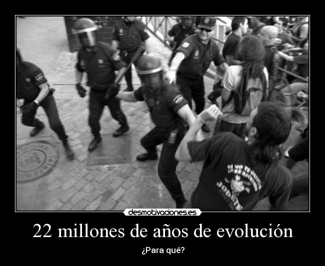 22 millones de años de evolución -