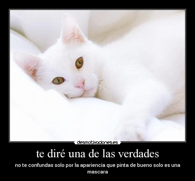 te diré una de las verdades - no te confundas solo por la apariencia que pinta de bueno solo es una mascara
