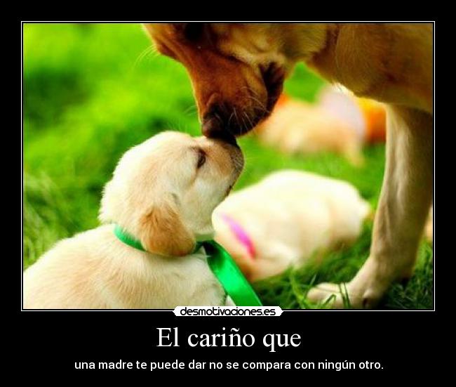 El cariño que - una madre te puede dar no se compara con ningún otro.