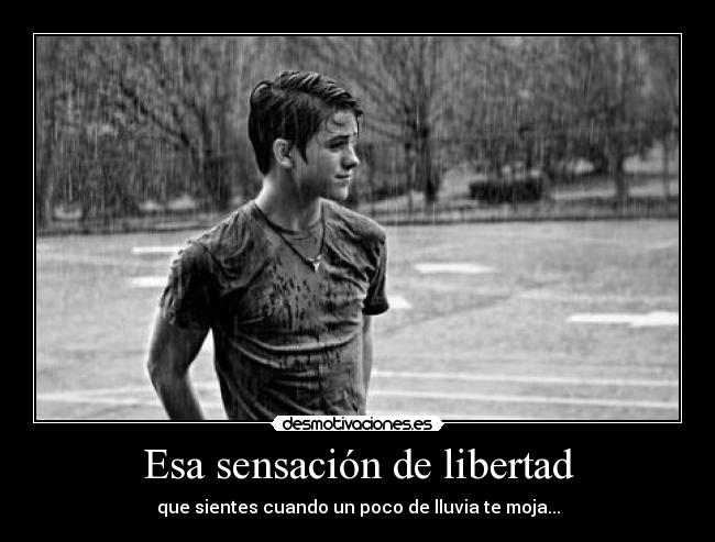 Esa sensación de libertad - 