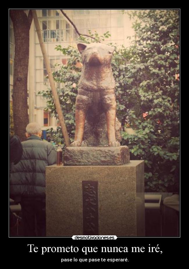 Te prometo que nunca me iré, - 