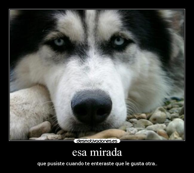 esa mirada - que pusiste cuando te enteraste que le gusta otra..