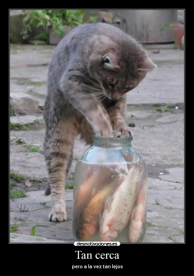 Tan cerca - pero a la vez tan lejos