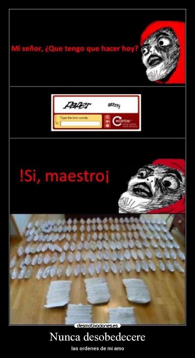Nunca desobedecere - las ordenes de mi amo