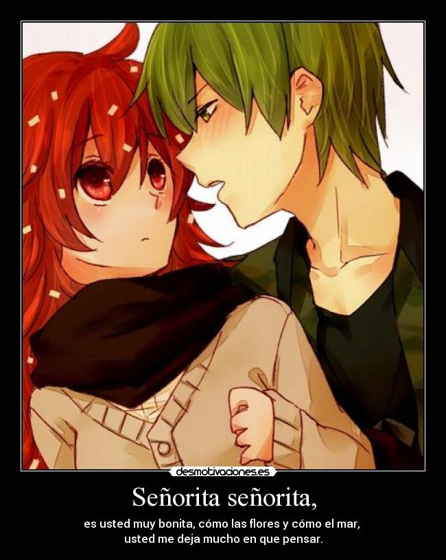 Señorita señorita, - 