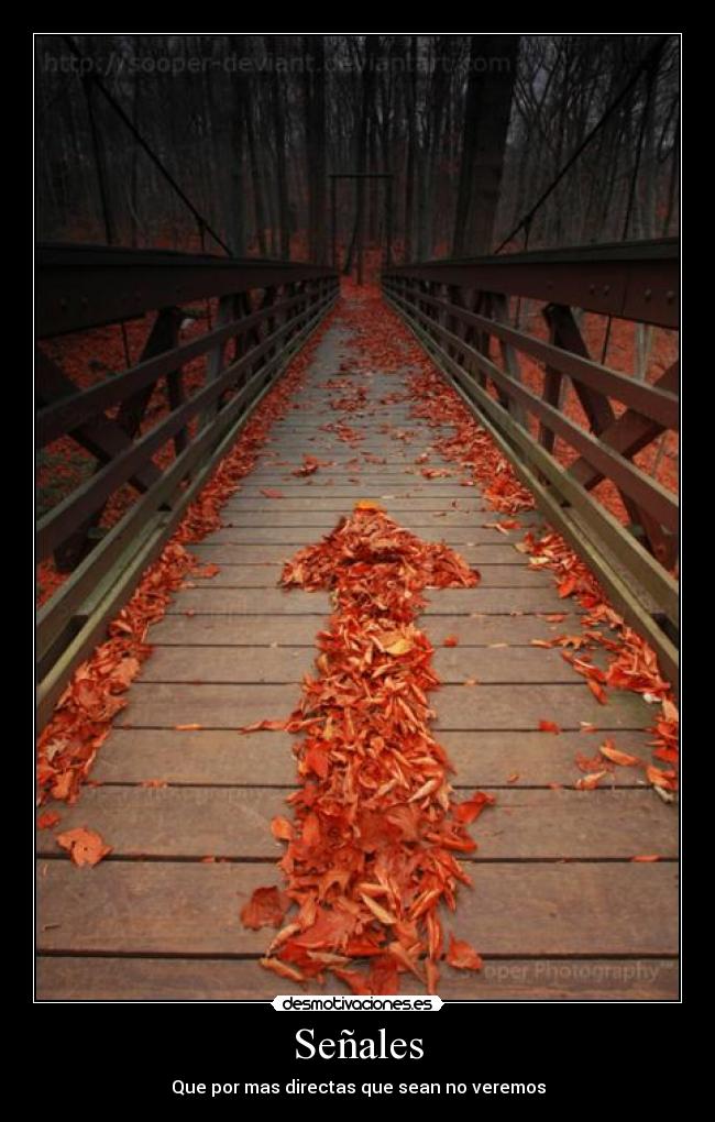 Señales - 