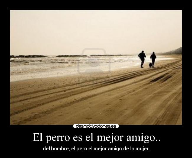 El perro es el mejor amigo.. - 