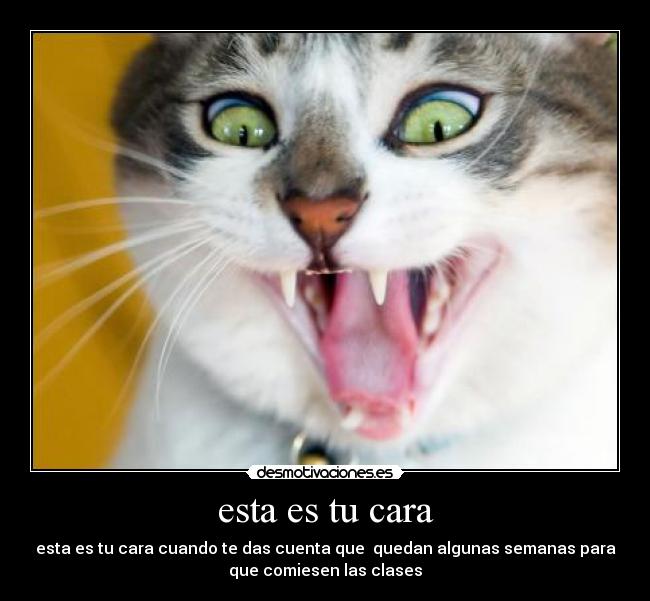 esta es tu cara - esta es tu cara cuando te das cuenta que  quedan algunas semanas para
que comiesen las clases