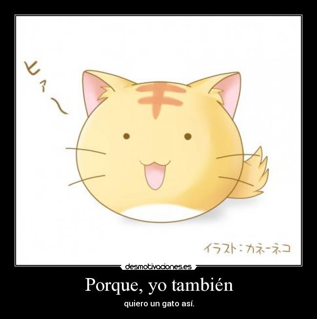 Porque, yo también - quiero un gato así.