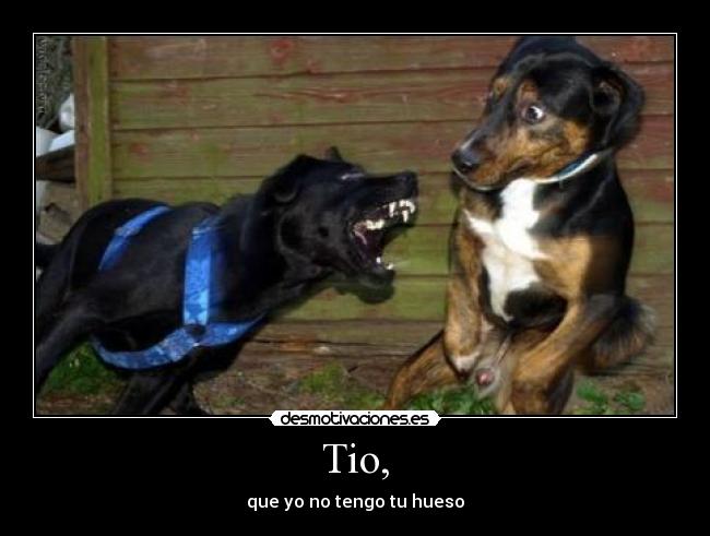 Tio, - que yo no tengo tu hueso