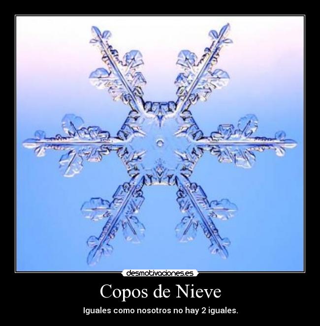 Copos de Nieve -