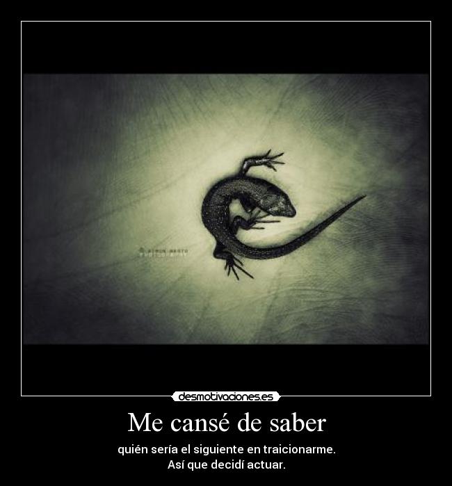 Me cansé de saber - quién sería el siguiente en traicionarme.
Así que decidí actuar.