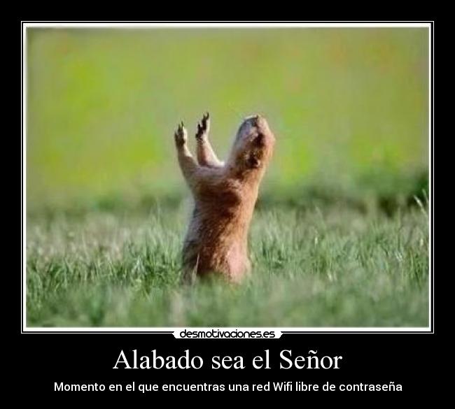 Alabado sea el Señor -