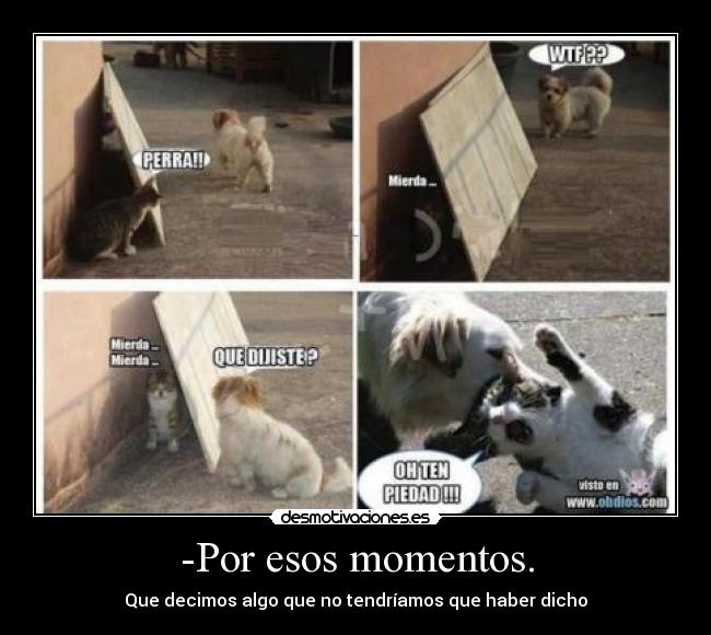 -Por esos momentos. - Que decimos algo que no tendríamos que haber dicho