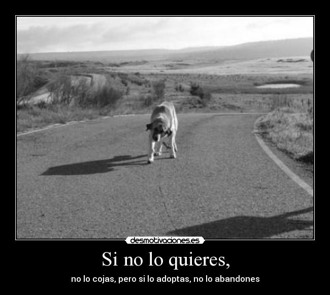 Si no lo quieres, - 