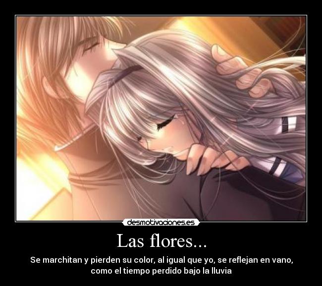 Las flores... -