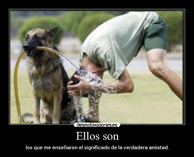 Ellos son -