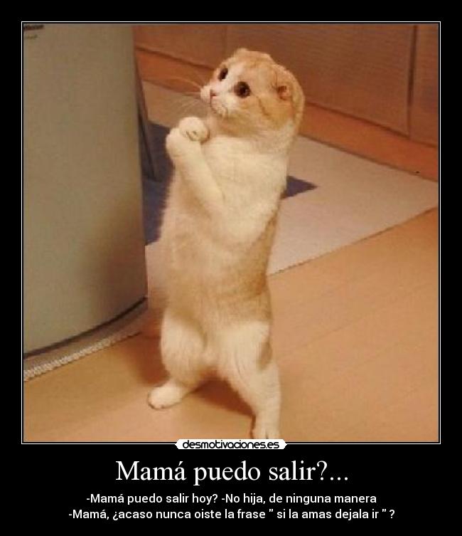 carteles mama mama salir divertida graciosa chiste amor amo funny desmotivaciones