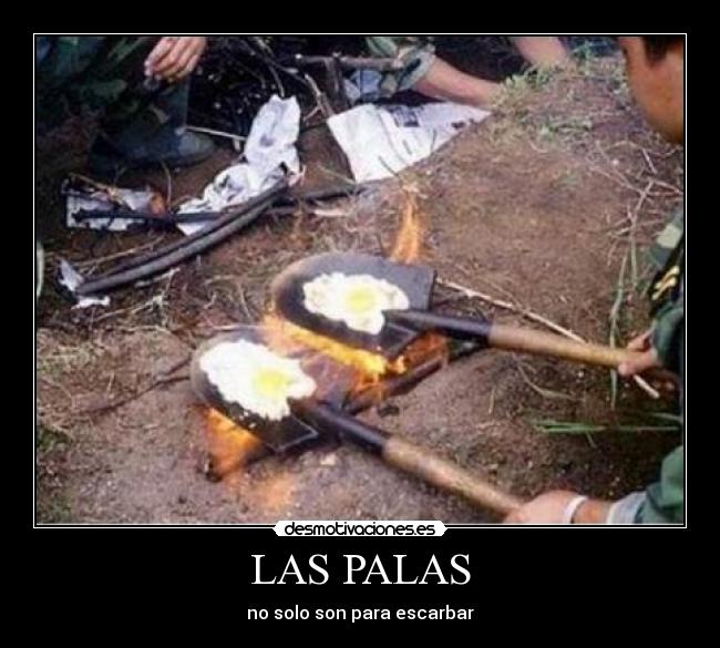 LAS PALAS -