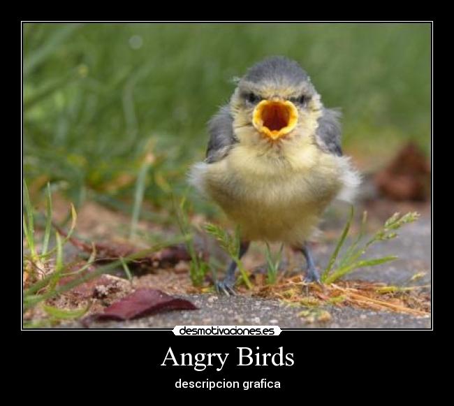 Angry Birds - 