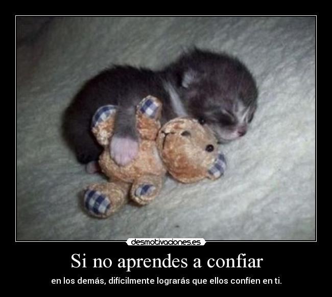Si no aprendes a confiar -