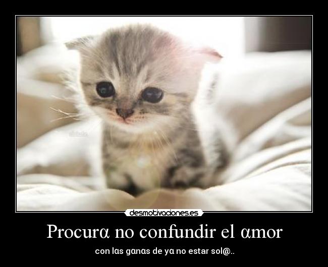 Procurα no confundir el αmor -