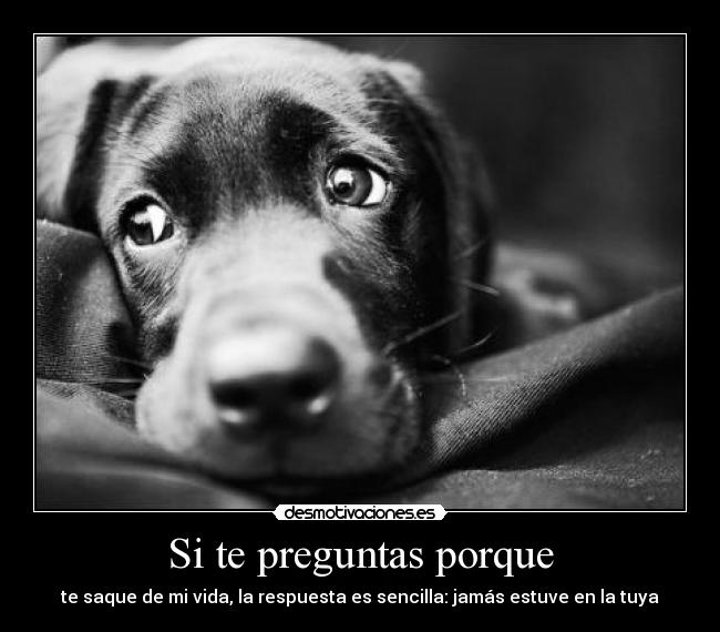 Usuario saritanv Desmotivaciones Usuario saritanv Desmotivaciones